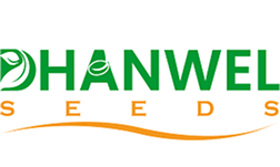 Dhanwel Hybrid Seeds Limited Share Price